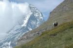 .resize_mountain3.JPG