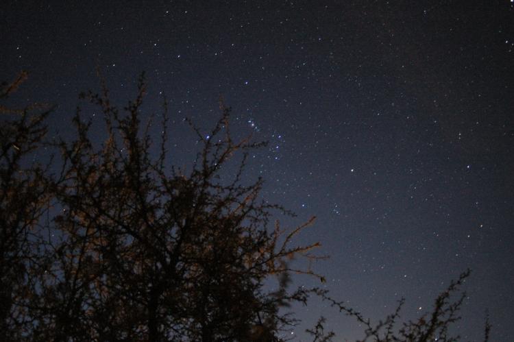 .resize_night_sky4.JPG