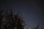 .resize_night_sky4.JPG