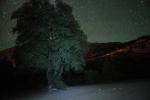 .resize_night_sky6.JPG