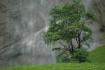 .resize_plants12.JPG
