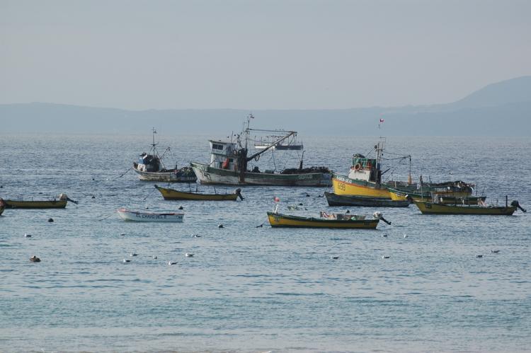 .resize_sea1.JPG