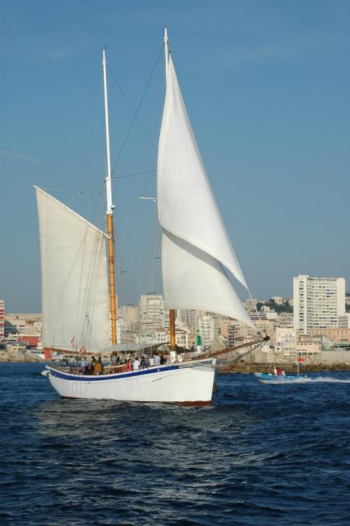 .resize_sea3.JPG