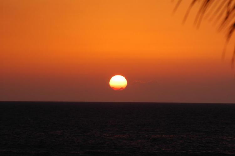 .resize_sea8.JPG