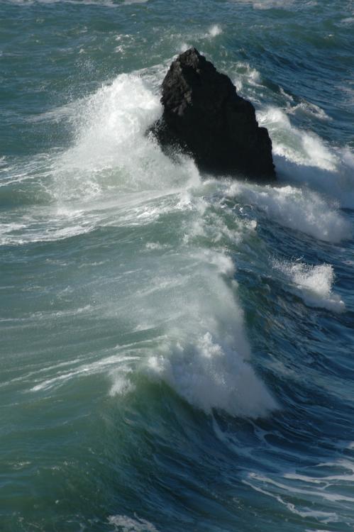 .resize_sea9.JPG