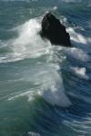 .resize_sea9.JPG