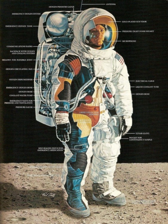.resize_apollo-space-suit--11409.jpg