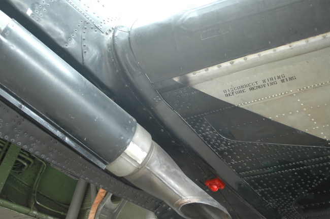 .resize_LDSC_0169.JPG