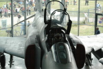 .resize_LDSC_0044.JPG