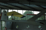 .resize_LDSC_0054.JPG