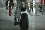 .resize_LDSC_0106.JPG
