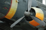 .resize_LDSC_0189.JPG