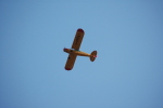 .resize_LDSC_0198.JPG