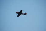 .resize_LDSC_0215.JPG