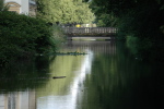 .resize_LDSC_0231.JPG
