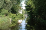.resize_LDSC_0237.JPG