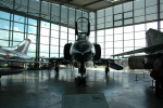 .resize_LDSC_23.JPG