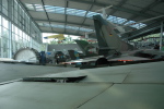 .resize_LDSC_50.JPG