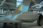 .resize_LDSC_57.JPG