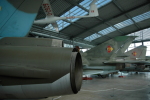 .resize_LDSC_61.JPG
