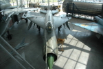 .resize_LDSC_7.JPG