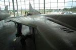 .resize_LDSC_70.JPG