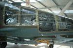 .resize_LDSC_75.JPG