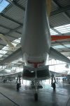 .resize_LDSC_81.JPG