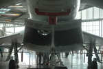 .resize_LDSC_83.JPG