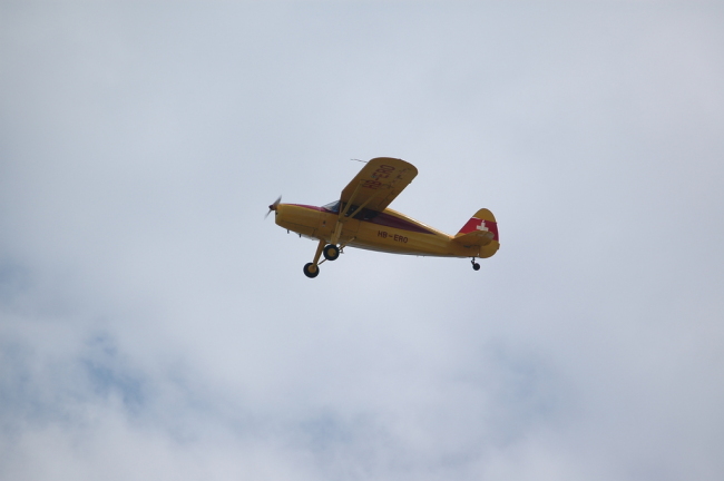 .resize_LDSC_0024.JPG