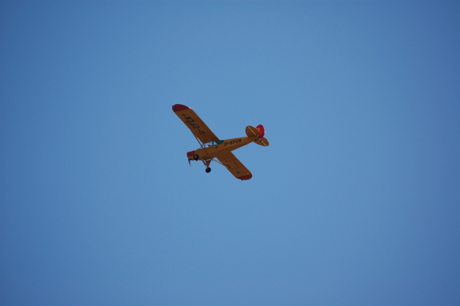 .resize_LDSC_0200.JPG