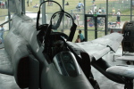 .resize_LDSC_0051.JPG