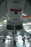 .resize_LDSC_0114.JPG