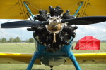 .resize_LDSC_0155.JPG