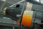 .resize_LDSC_0167.JPG