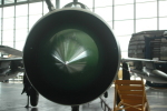 .resize_LDSC_77.JPG