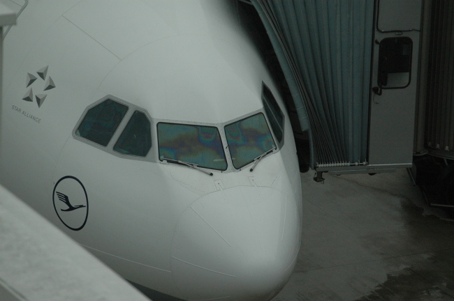 .resize_CDSC_0011.JPG