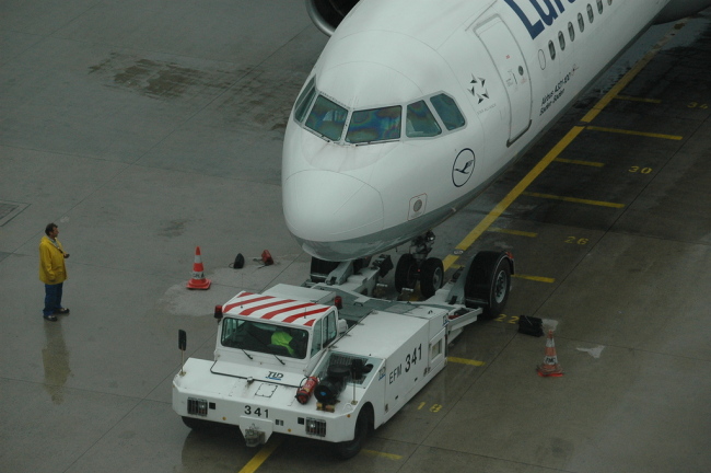 .resize_CDSC_0025.JPG