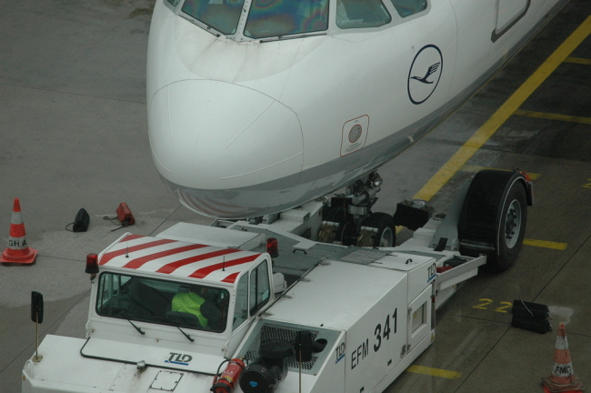 .resize_CDSC_0026.JPG