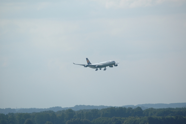 .resize_KDSC_0049.JPG