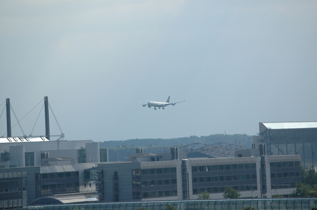 .resize_KDSC_0061.JPG