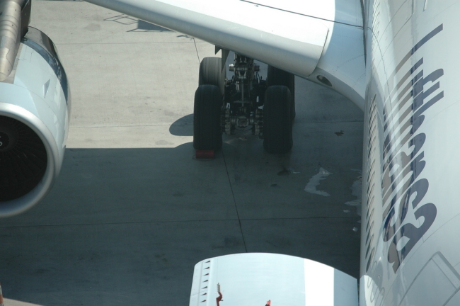 .resize_PDSC_0024.JPG