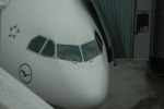 .resize_CDSC_0011.JPG