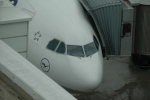 .resize_CDSC_0012.JPG