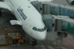 .resize_CDSC_0013.JPG