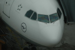 .resize_CDSC_0014.JPG