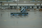.resize_CDSC_0021.JPG