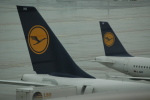 .resize_CDSC_0022.JPG