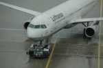 .resize_CDSC_0035.JPG