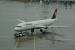 .resize_CDSC_0037.JPG